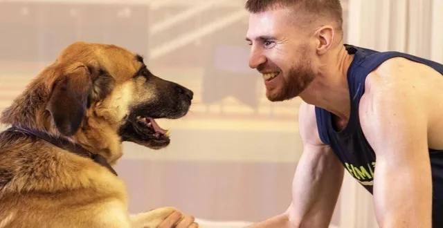 photo  japelou, les yeux de timothée adolphe.  &copy;  fédération française associations chiens guides d’aveugles 