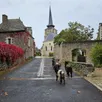 photo  des boucs en visite dans le centre-bourg de savennières. 