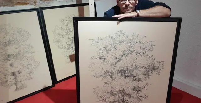 photo  l’arbre est la thématique fétiche du peintre-dessinateur matthieu maignan, ici dans sa galerie d’art.  &copy;  ouest-france 