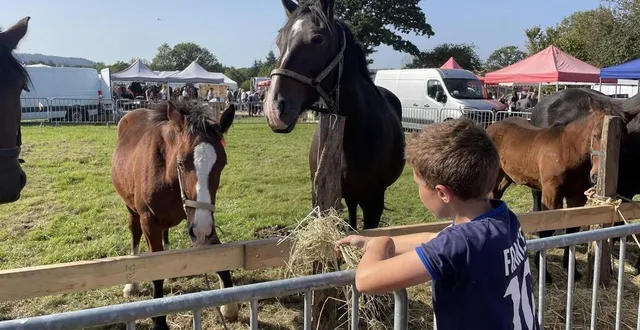 photo  une ferme pédagogique sera présente pour la première fois à la foire saint-denis de montilly-sur-noireau, dans l’orne, ces samedi 5 et dimanche 6 octobre 2024.  &copy;  archives ouest-france 