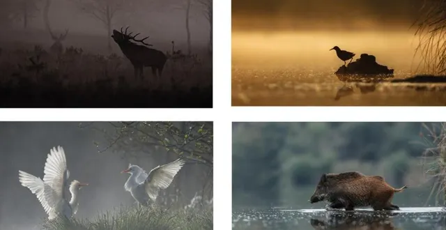 photo  une exposition photos a découvrir au quai des arts  &copy;  ml 