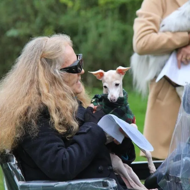 photo la bénédiction des animaux est une tradition pluri-centenaire dans la religion catholique.  ©  ouest-france