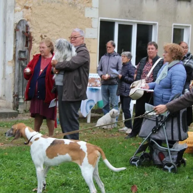 photo tous les animaux et de toutes tailles étaient invités à cette bénédiction.  ©  ouest-france