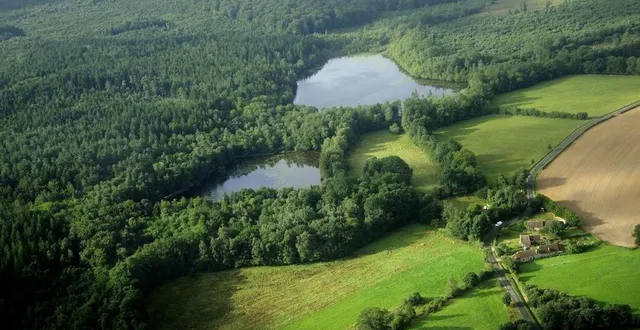 photo  le parc régional du perche organise une consultation sur l’aménagement de la réserve naturelle régionale de la clairière forestière.  &copy;  parc naturel régional du perche 