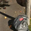 photo  depuis le 1er octobre 2024, les sacs de poubelles opaques ne sont plus ramassés invitant les habitants à revoir leur tri sélectif des ordures ménagères. 