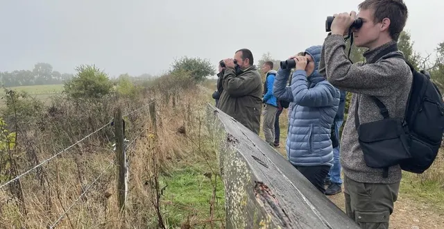 photo  dimanche 6 octobre 2024, une dizaine d’observateurs, accompagnés par des membres de la lpo, sont venus observer les oiseaux migrateurs à la tourlandry.  &copy;  ouest-france 