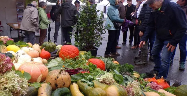 photo  les parapluies étaient de sortie pour l’événement entre flore et nature.  &copy;  le maine libre 