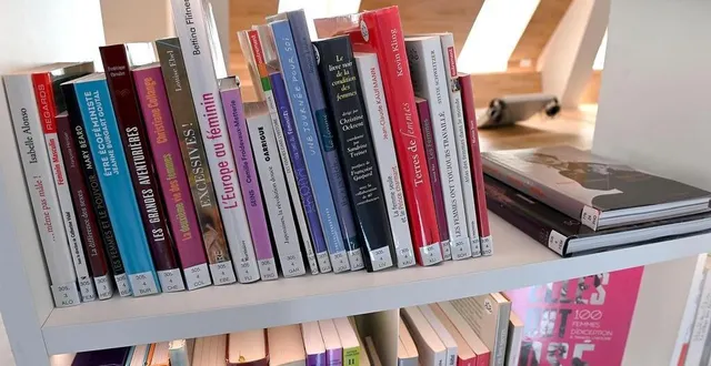 photo  des livres déclassés de la médiathèque de sablé-sur-sarthe sont proposés à 1 € pièce (photo d’illustration).  &copy;  archives ouest-france 