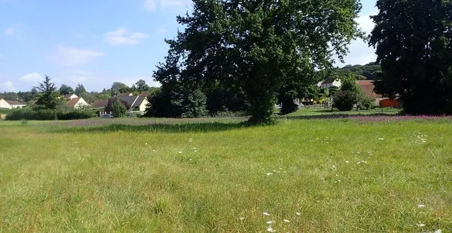 photo  rendez-vous ce samedi 12 octobre  à l’entrée de la zone, rue de connerré, en face de la rue du pressoir.  &copy;  cpie 