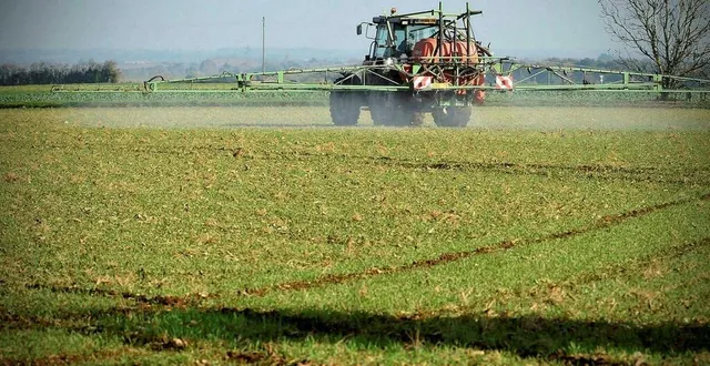 photo  « quatorze molécules différentes ont été retrouvées dans les urines et quarante-cinq dans les cheveux d’enfants », rapportent nos confrères du monde et de france info qui ont eu accès aux résultats. ces derniers seront dévoilés publiquement ce samedi soir 12 octobre à la rochelle.  &copy;  archives co - marie delage 