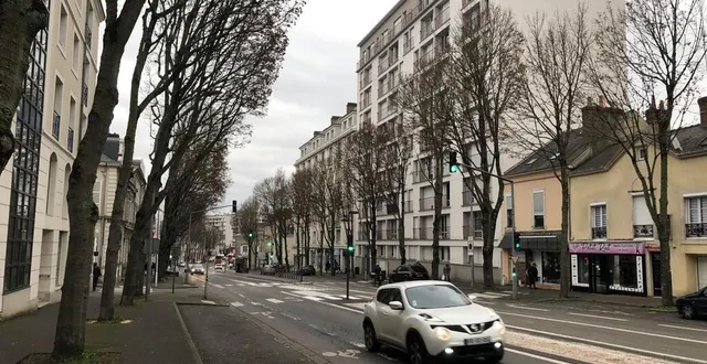 photo  avenue bollée, au mans (sarthe), le futur tracé de la chronoligne nécessitera l’abattage d’érables. un collectif s’y oppose.  &copy;  ouest-france 
