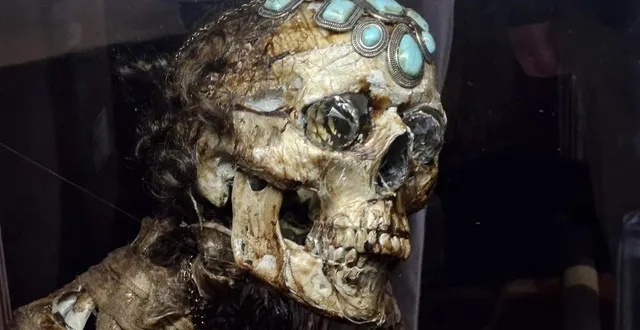 photo  une momie entière est à découvrir au château de carrouges (orne).  &copy;  ouest-france 