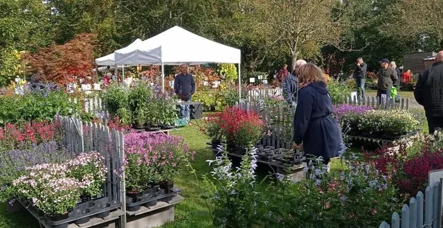 photo  le temps d’un week-end, un monde de couleurs et de senteurs.  &copy;  ouest-france 