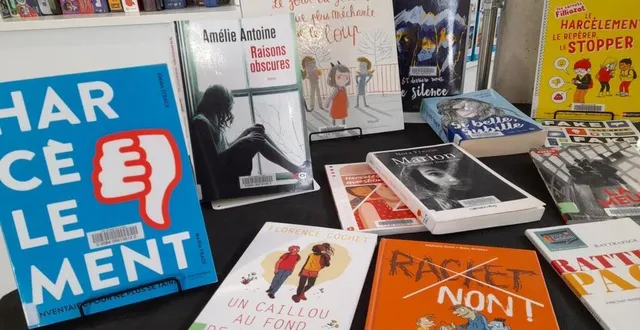 photo  les livres sur ce sujet à la médiathèque.  &copy;  le maine libre 