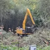 photo  une zone humide forestière est en cours de réalisation à la fontaine de la coudre en forêt de bercé. 
