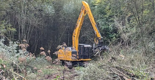 photo  une zone humide forestière est en cours de réalisation à la fontaine de la coudre en forêt de bercé.  &copy;  ouest-france 