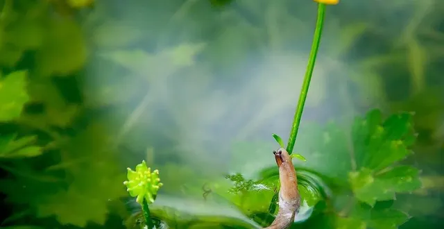 photo  le cliché signé madeleine thierry lui vaut le prix du pays du mans.  &copy;  madeleine thierry 
