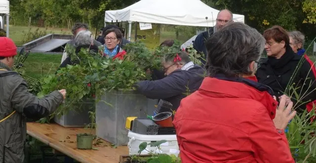 photo  le troc plants est ouvert à tous.  &copy;  co 