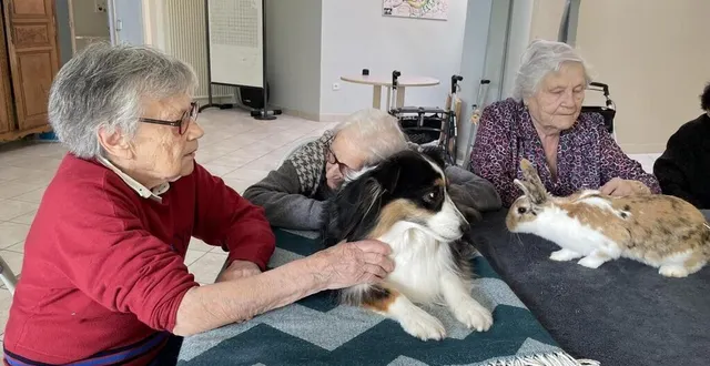 photo  une fois tous les quinze jours, marine durdek, éducatrice spécialisée et intervenante en médiation animale emmène quelques-uns de ses animaux à l’ehpad du sacré-cœur à athis-de-l’orne, commune déléguée d’athis-val-de-rouvre, dans l’orne.  &copy;  ouest-france 