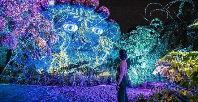 photo  dès la nuit venue, le parc s’illumine grâce à près de 500 plantes luminescentes.  &copy;  terra botanica 
