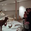 photo une exposition familiale, pour rencontrer les animaux au fil des collections du musée jean-claude-boulard – carré plantagenêt, au mans.