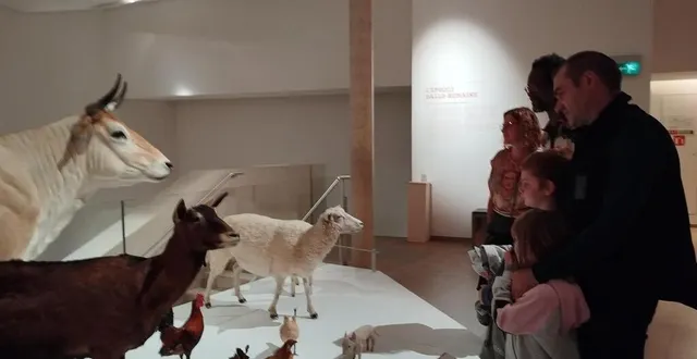 photo  une exposition familiale, pour rencontrer les animaux au fil des collections du musée jean-claude-boulard – carré plantagenêt, au mans.  &copy;  ouest-france 