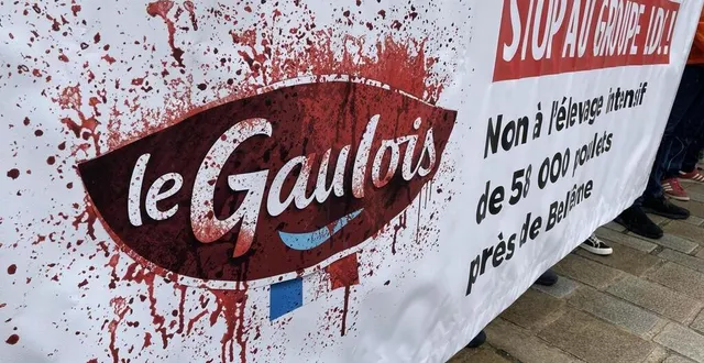 photo  l’association l214 poursuit ses actions à l’encontre du groupe ldc et de ses marques le gaulois, maître coq et marie.  &copy;  archives ouest-france 