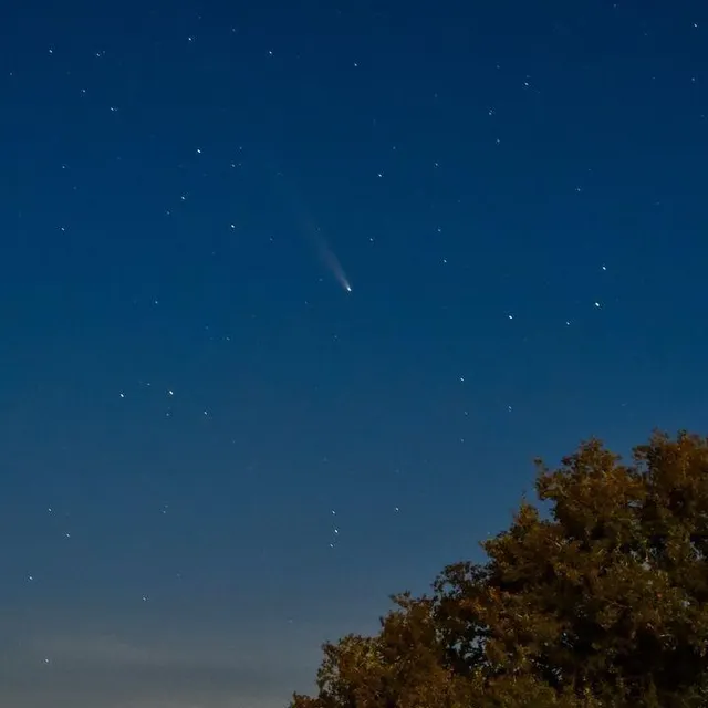 photo la comète tsuchinshan-atlas au-dessus de la normandie. cette photo a été prise dans la soirée de vendredi 18 octobre 2024 à saint-nicolas-des-bois, dans l'orne.  ©  collection particulière