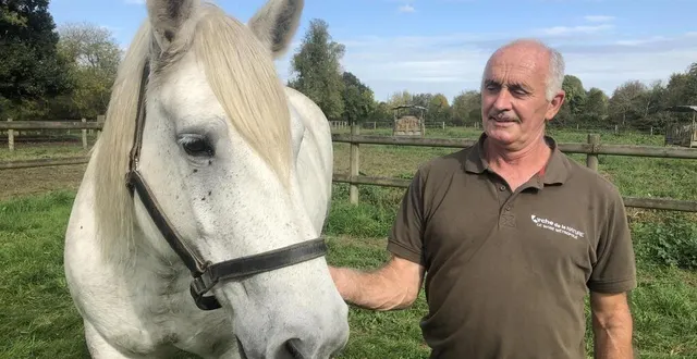 photo  jean-luc bacle, chef d’équipe du pôle équidé de l’arche de la nature, ici avec élégance, est également président du syndicat sarthois du cheval percheron.  &copy;  le maine libre 