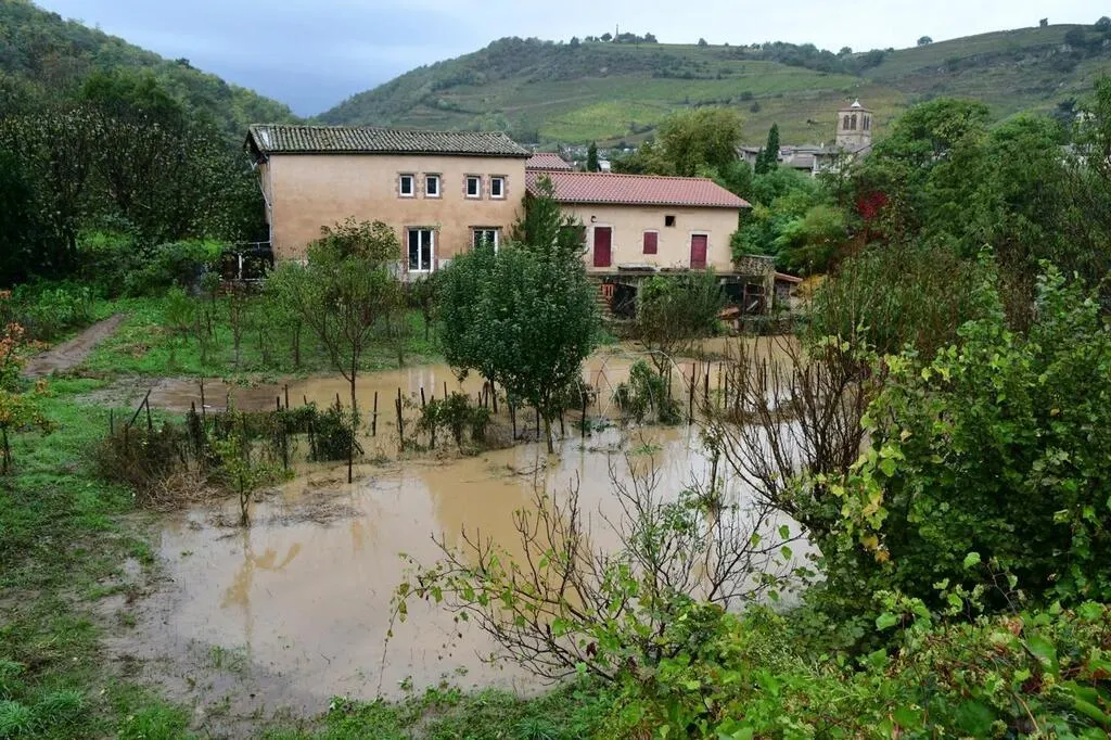 Inondations emportée par une rivière en crue, la vache Panga a été