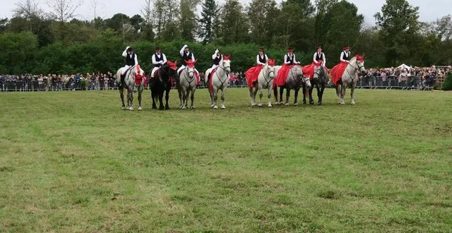 photo  dimanche 20 octobre 2024, l’arche de la nature, au mans, s’est animé pour la fête de l’âne et du percheron.  &copy;  ouest-france 