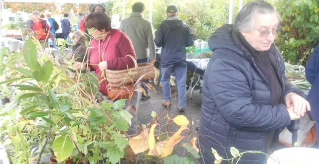 photo  les amoureux des plantes sont venus nombreux, dimanche.  &copy;  ouest-france 
