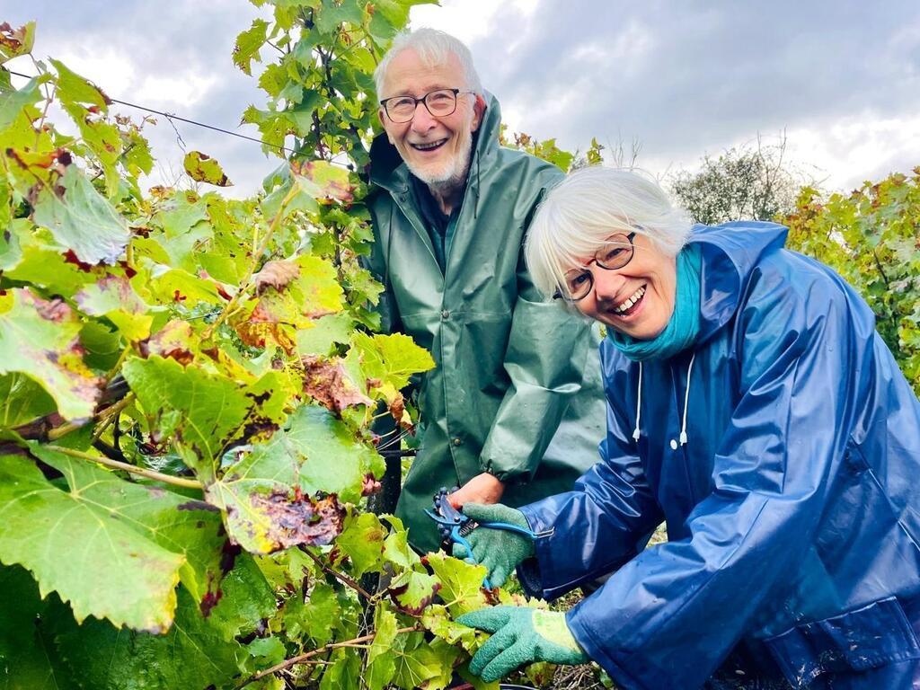 « Ils nous donnent une leçon » : dans ce vignoble du Layon, le vin d ...