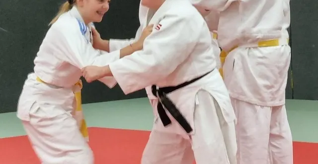 photo  ce stage a pour objectif de faire connaître les bons réflexes pour se tirer d’une situation difficile.  &copy;  ouest-france 