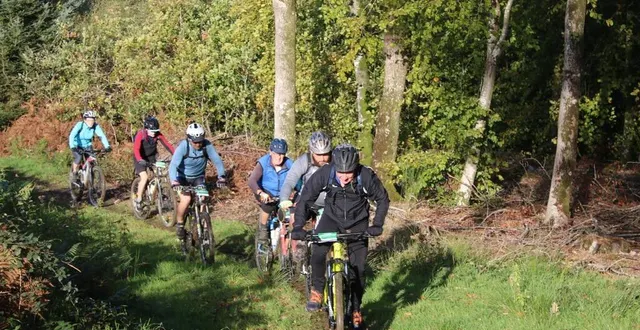 photo  à la découverte de parcours inédits dans le massif forestier de perseigne.  &copy;  ouest-france 