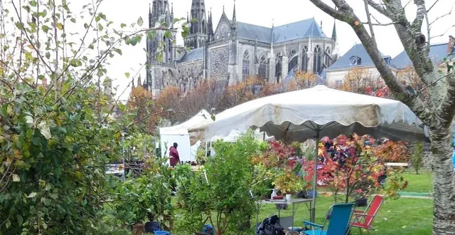 photo  rendez-vous incontournable des passionnés de végétaux, la fête des arbres se tiendra le week-end des 26 et 27 octobre, dans le parc du palais d’argentré.  &copy;  archives ouest-france 