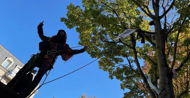photo  chaque jour, entre midi et 14 h, « le chat » descend discuter avec les passants. du haut d’un arrêt de bus.  &copy;  ouest-france 