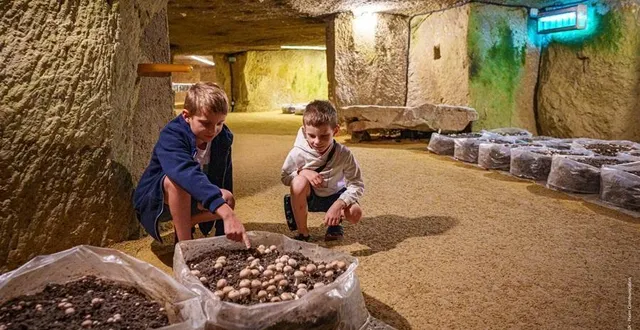 photo  le musée du champignon est ouvert à saumur jusqu’au dimanche 3 novembre.  &copy;  dr 