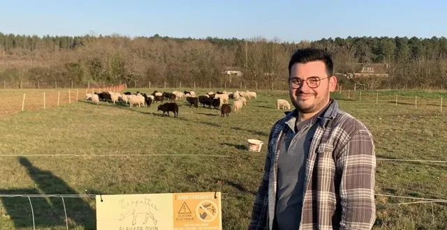 photo  « entre soulagement et dégoût » : pierre giroux, de la société d’écopâturage écopattes se réjouit d’avoir retrouvé ses brebis grâce aux réseaux sociaux. il déplore néanmoins la mort d’une d’entre elles et soupçonne fortement qu’une tentative de vol soit à l’origine de la divagation de ses bêtes.  &copy;  archives ouest-france 