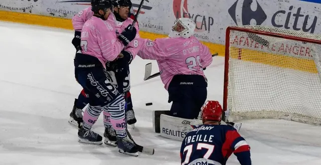 photo  les ducs d’angers suspendent leur gardien après son altercation avec l’arbitre.  &copy;  photo : archives ouest-france 