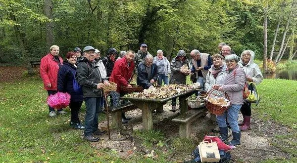 photo  avant de repartir avec sa cueillette, les champignons étaient examinés avec soin.  &copy;  le maine libre 