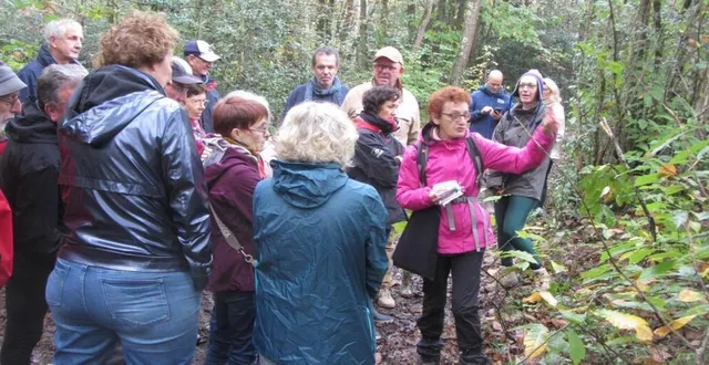 photo  monique davard botaniste passionnée de biodiversité a accompagné un groupe dans les sentiers du bois de linières à la recherche des baies et fruits sauvages dont les oiseaux sont friands. elle a mis en lumière l’extraordinaire interdépendance existant entre les plantes.  &copy;  co 