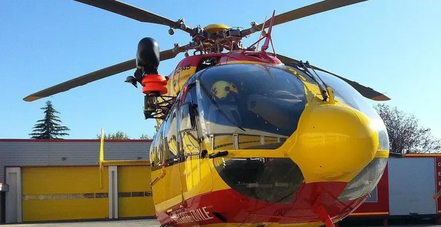 photo  l’homme de 77 ans a été héliporté en urgence après avoir été attaqué par des chiens à sainte-anne (martinique). photo d’illustration.  &copy;  esc / pixabay 