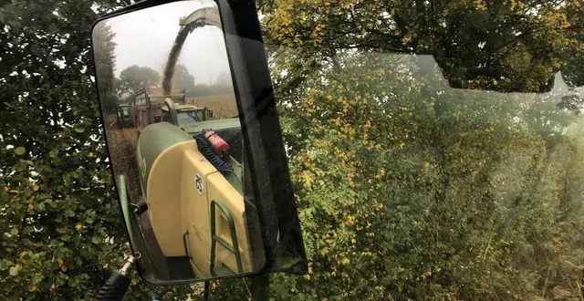 photo  dans le rétroviseur de l’ensileuse, son conducteur (qui n’a pas souhaité apparaître sur la photo) garde un œil sur le maïs qui se déverse dans les remorques, à athis-val-de-rouvre (orne).  &copy;  ouest-france 