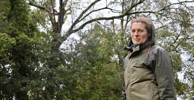 photo  environ 80 chênes ont été abîmés dans la propriété de karin marsilly, élagueuse près de saint-lô (manche).  &copy;  ouest-france 