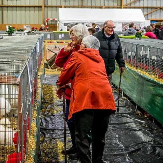 photo il est préférable de libérer les poules dans la journée, et de les protéger dans leur enclos la nuit.  ©  photo le maine libre - yvon loue