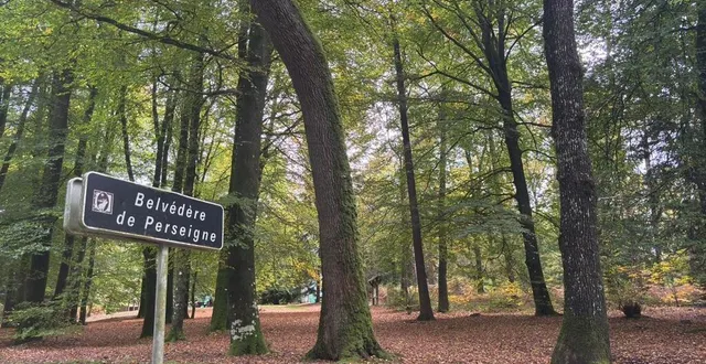 photo  l’onf a dévoilé le nouveau plan de la forêt de perseigne, parcelle par parcelle.  &copy;  le maine libre 