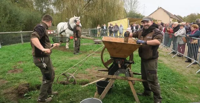 photo  à l’arche de la nature, au mans, les curieux ont pu voir le travail de l’homme et du percheron, pour presser les pommes.  &copy;  ouest-france 