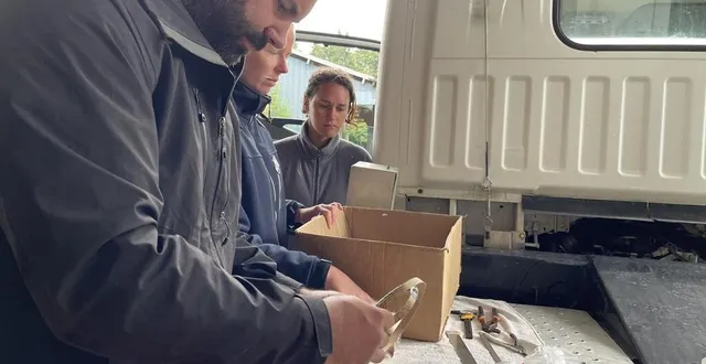 photo  en juin 2024, johann launay a installé des nichoirs et bagué des chouettes effraies dans le bocage ornais.  &copy;  ouest-france 