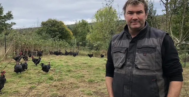 photo  cédric babin élève des volailles bio depuis 2014, dans l’orne.  &copy;  ouest-france 